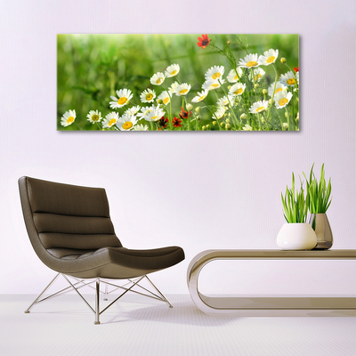 Glas bild Daisy Plant Nature