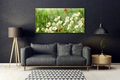 Glas bild Daisy Plant Nature