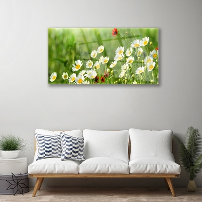 Glas bild Daisy Plant Nature