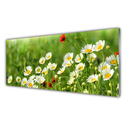 Glas bild Daisy Plant Nature