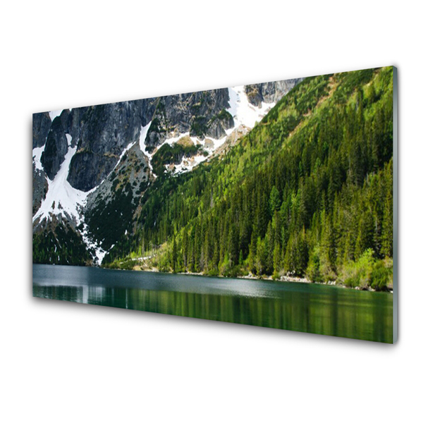 Glasbild Lake Forest Mountain Landskap