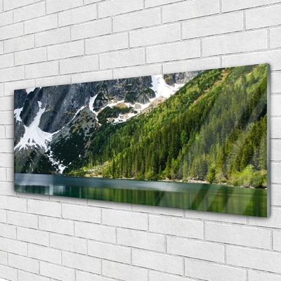 Glasbild Lake Forest Mountain Landskap