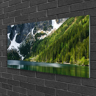 Glasbild Lake Forest Mountain Landskap