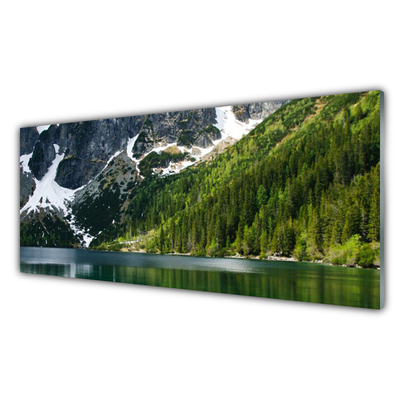 Glasbild Lake Forest Mountain Landskap