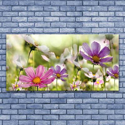 Fototryck på glas Blommor Växtnatur