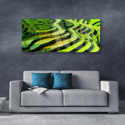 Glasbild Rice Field Forest Nature