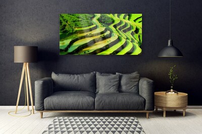 Glasbild Rice Field Forest Nature