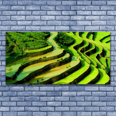 Glasbild Rice Field Forest Nature