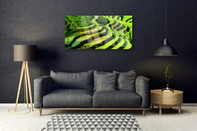 Glasbild Rice Field Forest Nature