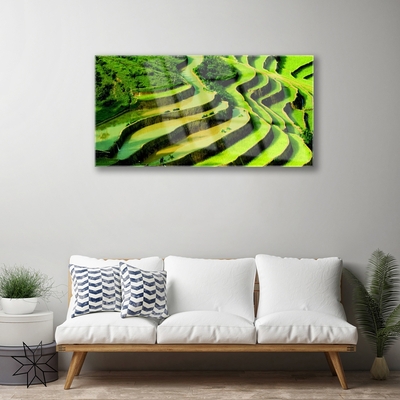 Glasbild Rice Field Forest Nature