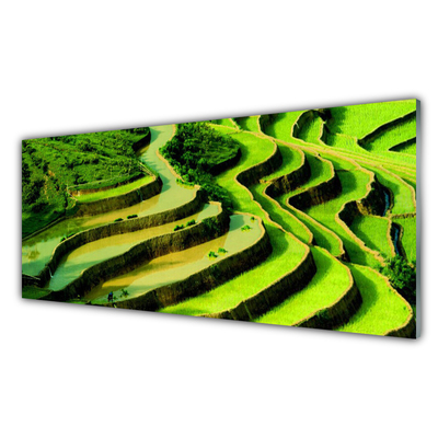 Glasbild Rice Field Forest Nature