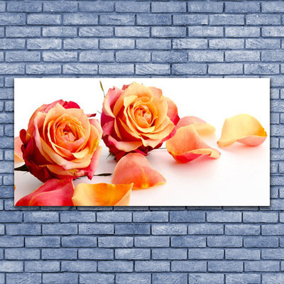 Glasbild Roses Blommor Plant