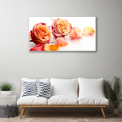 Glasbild Roses Blommor Plant