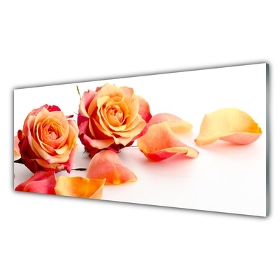 Glasbild Roses Blommor Plant