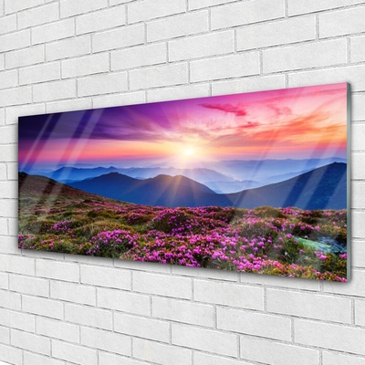 Glas bild Mountain Meadow Sun Landskap