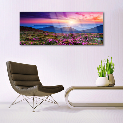 Glas bild Mountain Meadow Sun Landskap