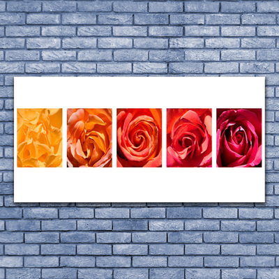 Glas bild Roses Blommor Plant