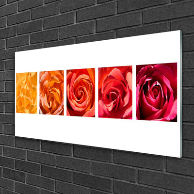 Glas bild Roses Blommor Plant