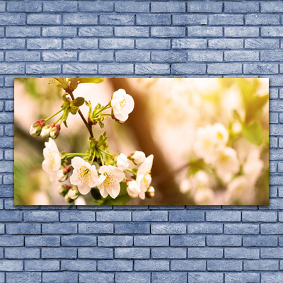 Fototryck på glas Blommor Växtnatur