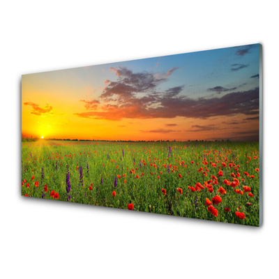 Glasbild Sun Meadow Blommor Natur