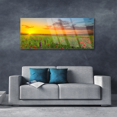 Glasbild Sun Meadow Blommor Natur