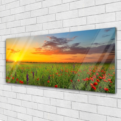 Glasbild Sun Meadow Blommor Natur