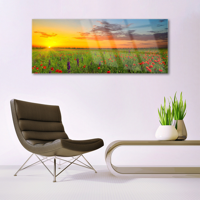 Glasbild Sun Meadow Blommor Natur