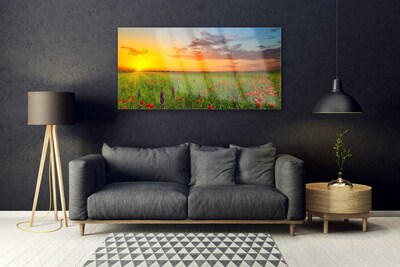 Glasbild Sun Meadow Blommor Natur