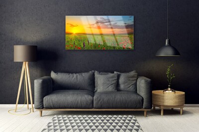 Glasbild Sun Meadow Blommor Natur