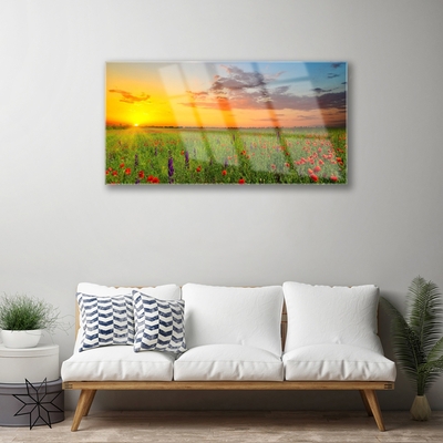 Glasbild Sun Meadow Blommor Natur