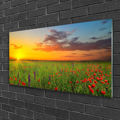 Glasbild Sun Meadow Blommor Natur