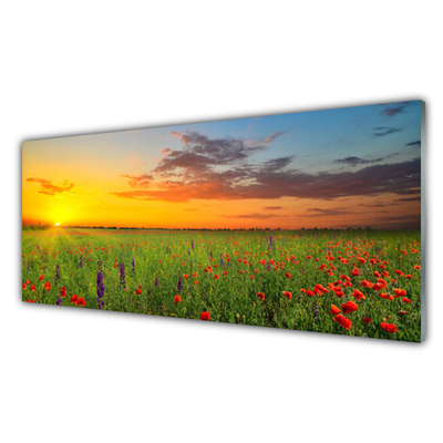 Glasbild Sun Meadow Blommor Natur