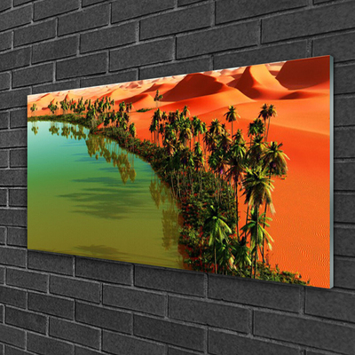 Glasbild Lake Desert Palms