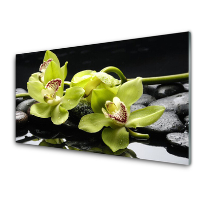 Bild på glas Blomma orkidéväxt