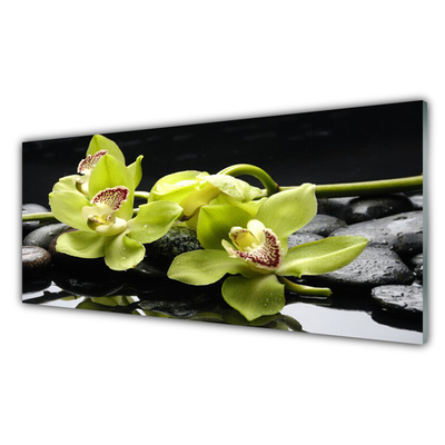 Bild på glas Blomma orkidéväxt