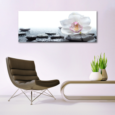 Glasbild Blomma Orchid Art