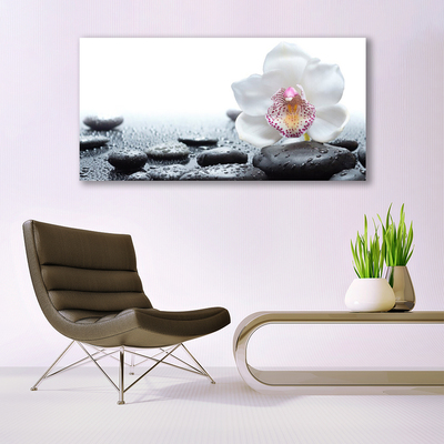 Glasbild Blomma Orchid Art