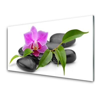 Glas bild Blomma Orchid Art