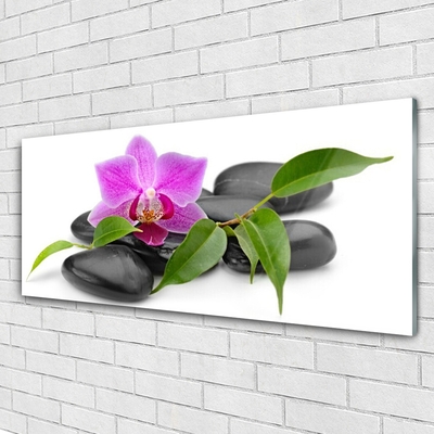 Glas bild Blomma Orchid Art