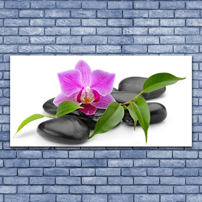 Glas bild Blomma Orchid Art