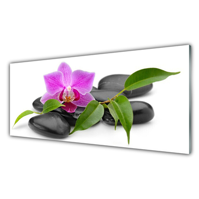 Glas bild Blomma Orchid Art