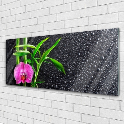 Glas bild Bambu blomma droppar