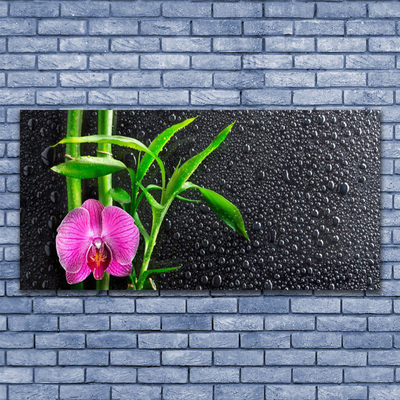 Glas bild Bambu blomma droppar