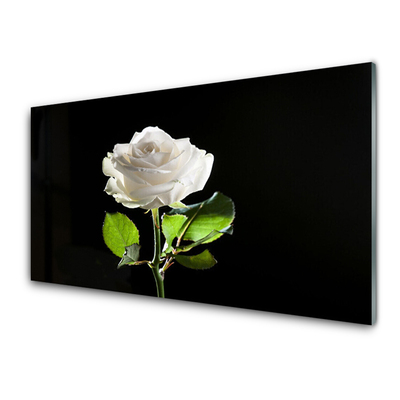 Glas bild Rose Flower Plant Nature