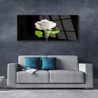 Glas bild Rose Flower Plant Nature