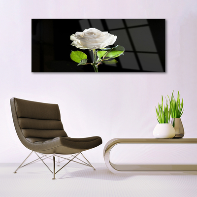 Glas bild Rose Flower Plant Nature