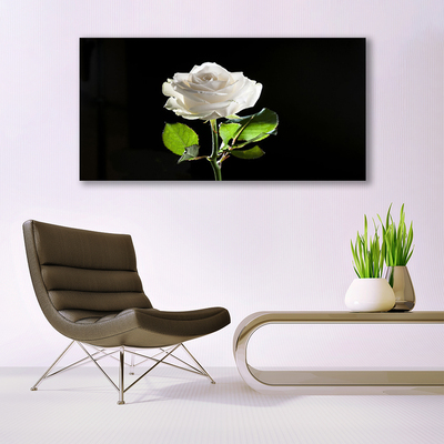 Glas bild Rose Flower Plant Nature