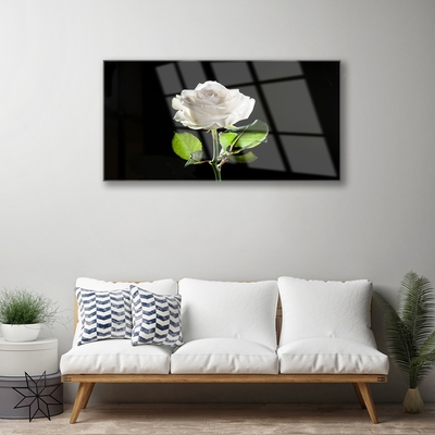 Glas bild Rose Flower Plant Nature