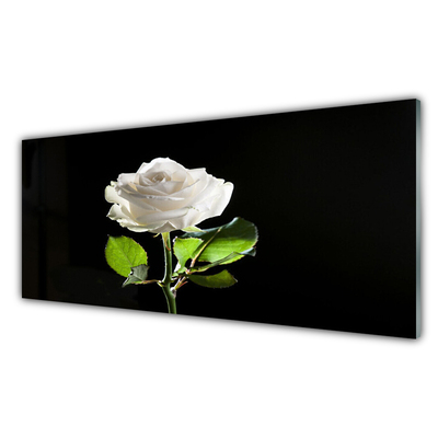 Glas bild Rose Flower Plant Nature