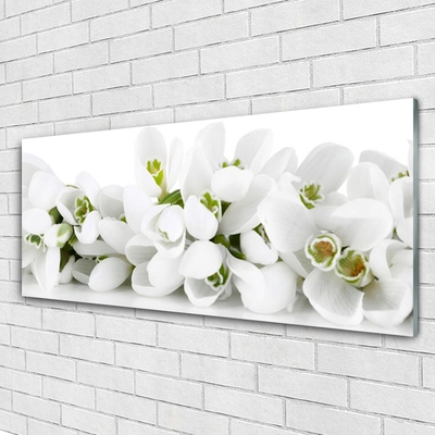 Bild på glas Blommor Växtnatur